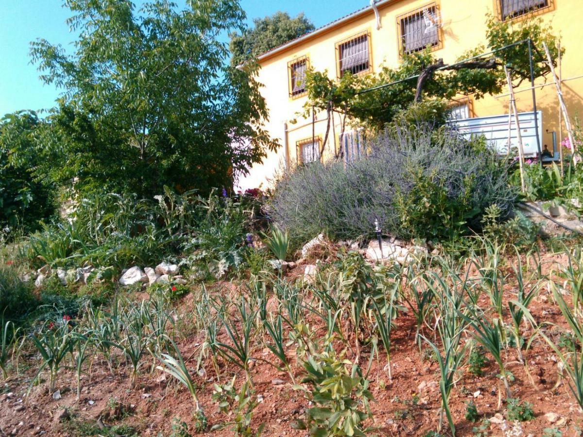 Vila Cortijo De La Cruz Iznájar Exteriér fotografie